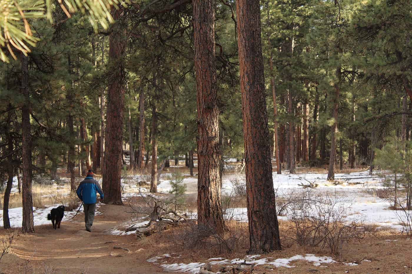 You are currently viewing 5 Reasons why fall camping is the best